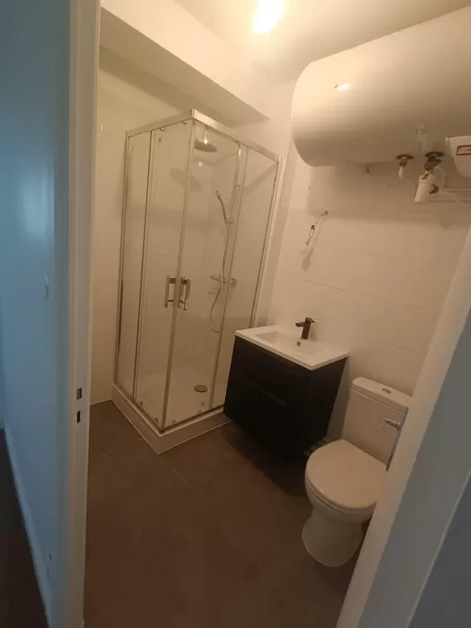 Rénovation complète d’un appartement à La Croix-Rousse, Neos