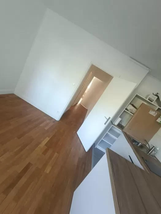 Rénovation complète d’un appartement à La Croix-Rousse, Neos
