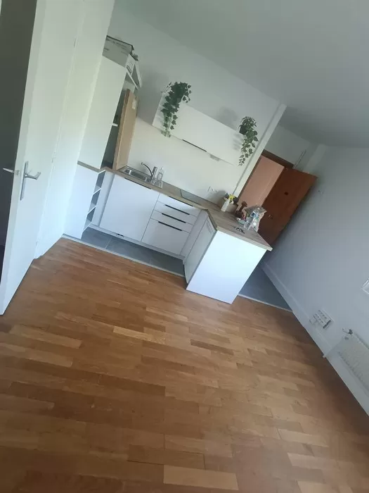 Rénovation complète d’un appartement à La Croix-Rousse, Neos